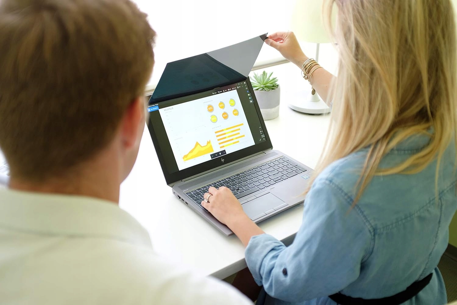 PF17.3W filtr prywatyzuj?cy standardowy do notebooków 43,9 cm Model lixia202