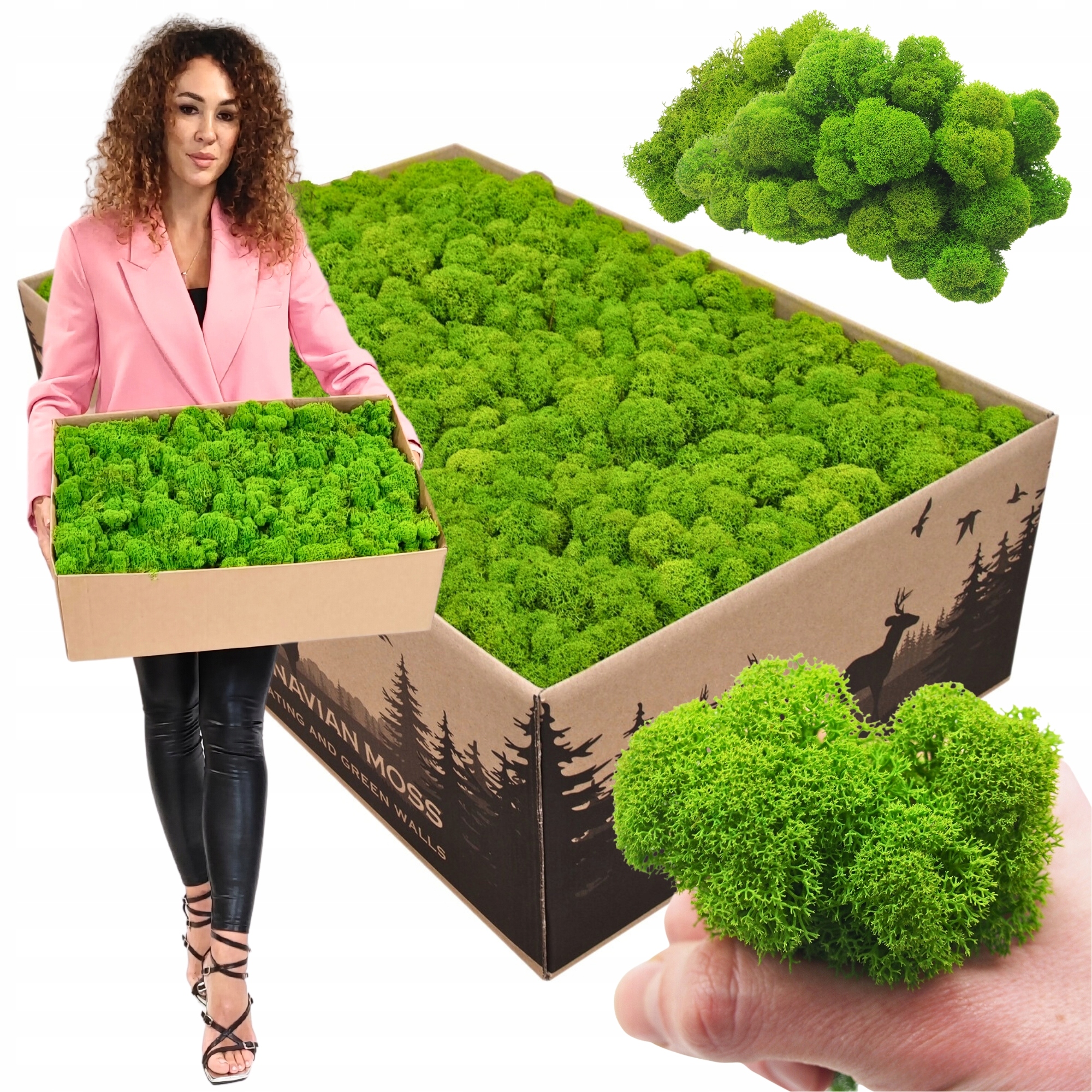 Mech Chrobotek sobí Očištěný Premium živý ozdobný 2kg Netto