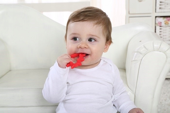 Mombella Gryzak Geometryczny jeż Marka Mombella