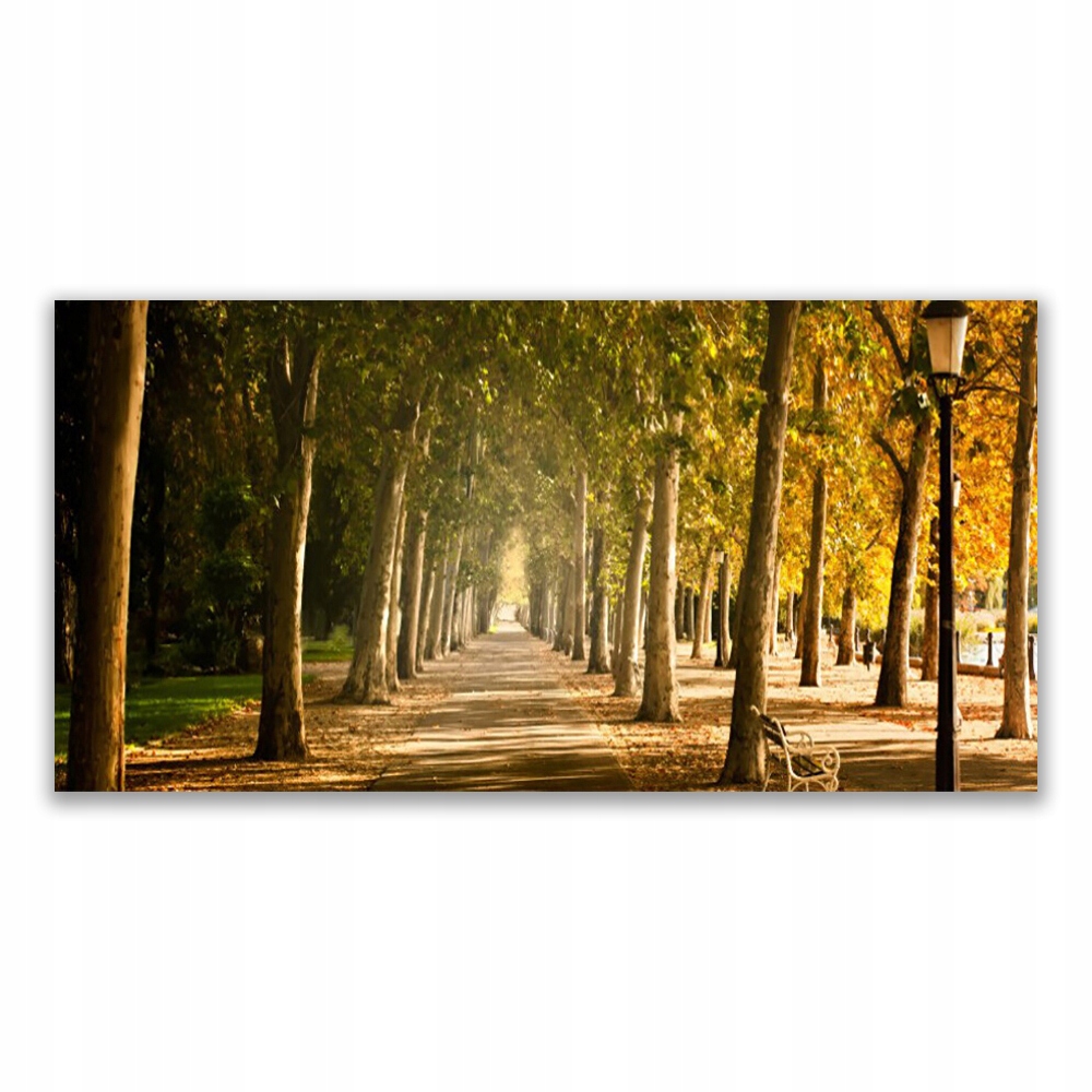 

Fotoobraz na prezent 140x70 Park Alejka Krajobraz