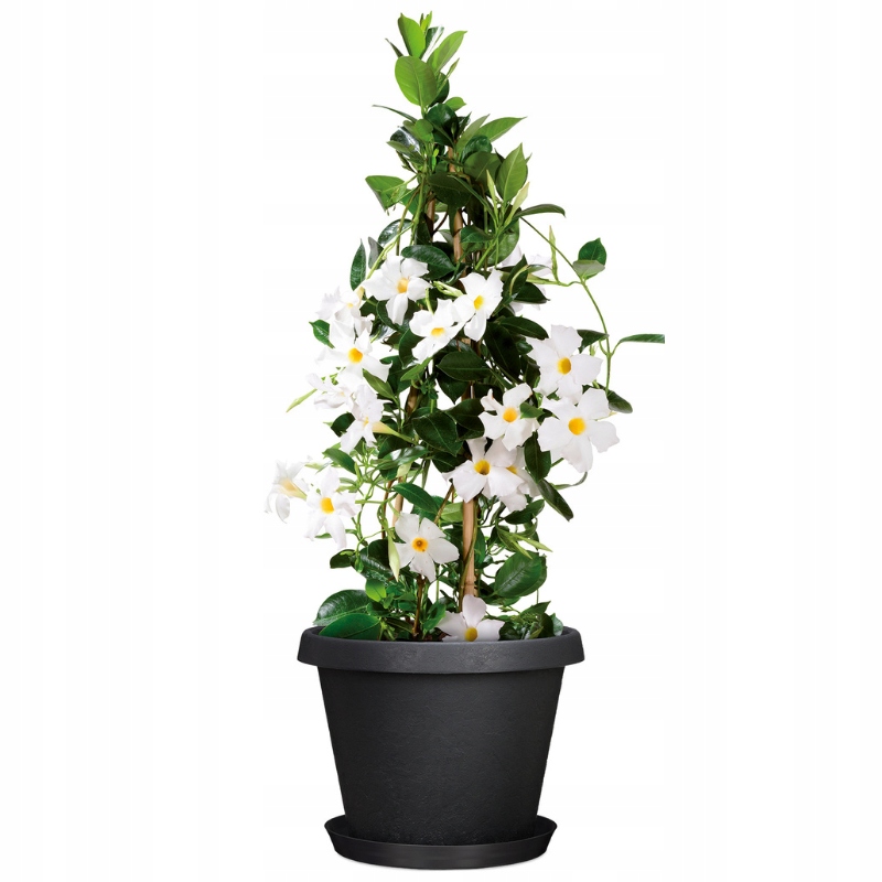 Donica tarasowa 40 jak kamienna terakota Scheurich Marka Scheurich