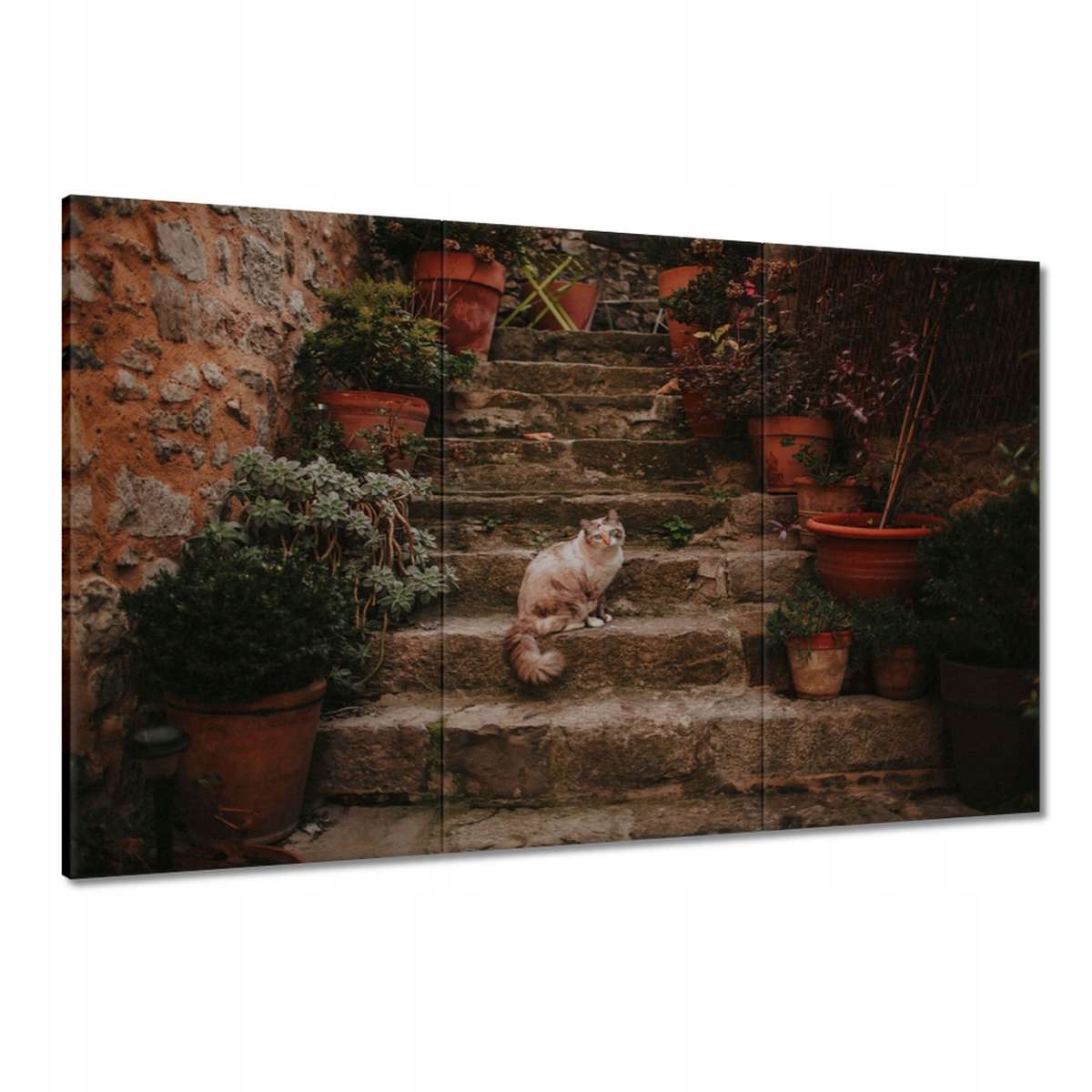 Obrazy 120x80 Kočka Kotě Kočičky Kočička