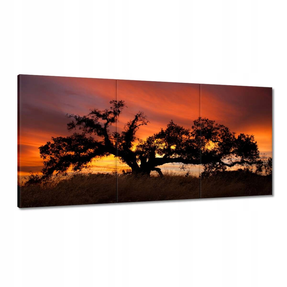 Obrazy 120x60 Africká krajina