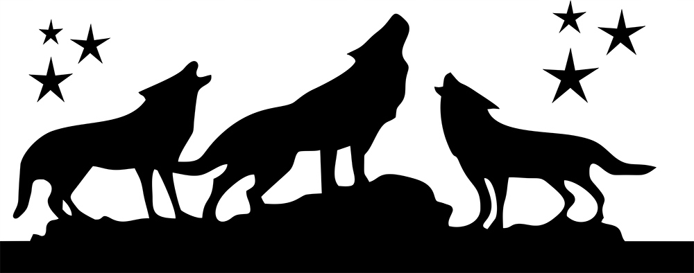 NAKLEJKA Grafika na kamper Przyczepę WILK WILKI WOLF WILD NATURE 90x228 Numer katalogowy producenta MG3923-1