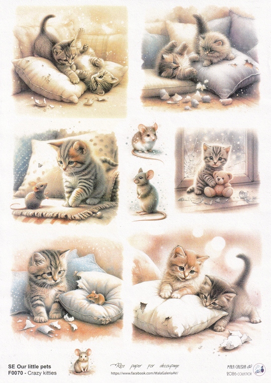 Papier Ryżowy decoupage - Zwariowane KOTY / Myszy - proj. AV - A4