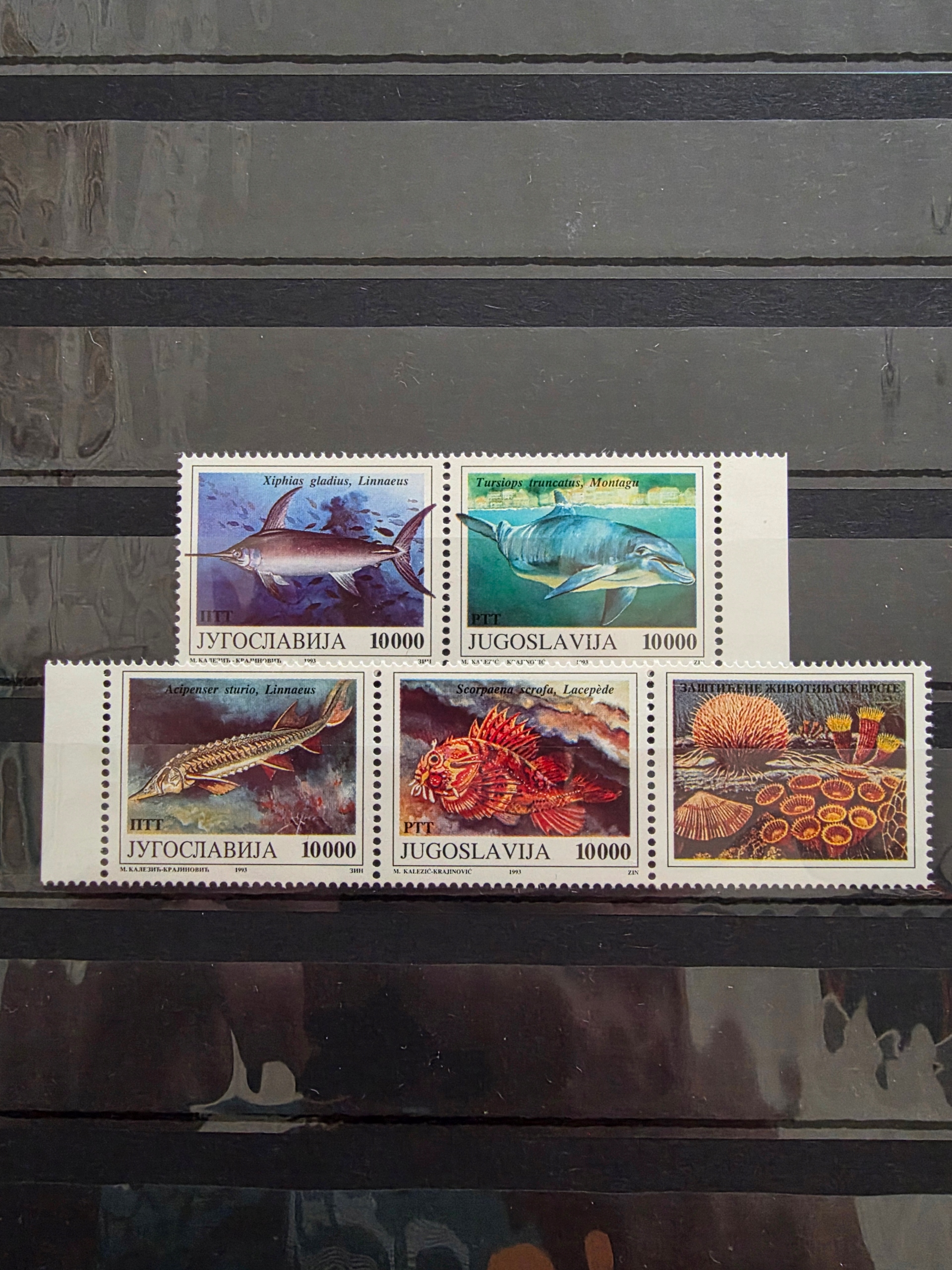 Znaczki Fauna Ryby Jugosławia czysty /R1