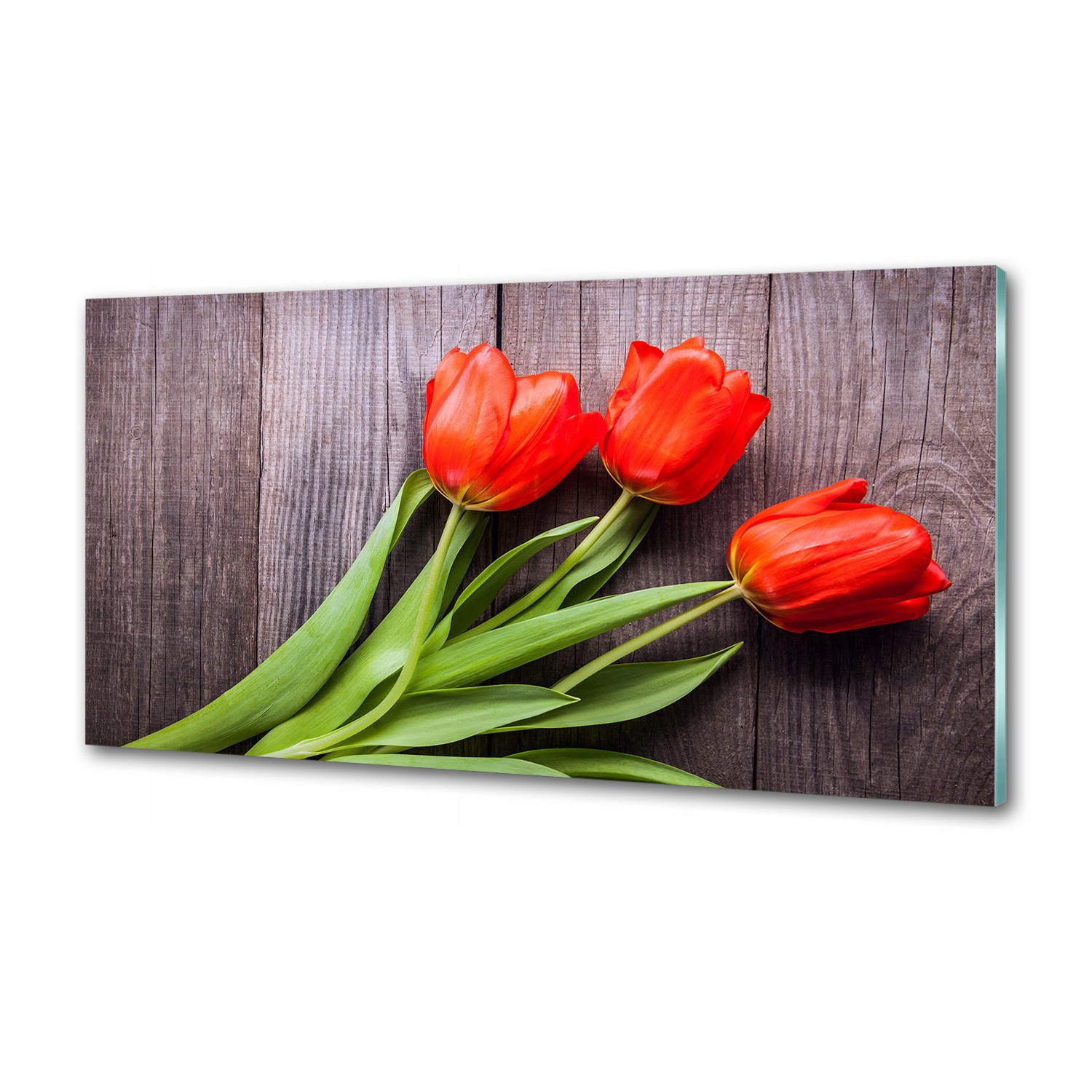 Panel do kuchyne Červené tulipány 120 x 60 cm Lepidlo