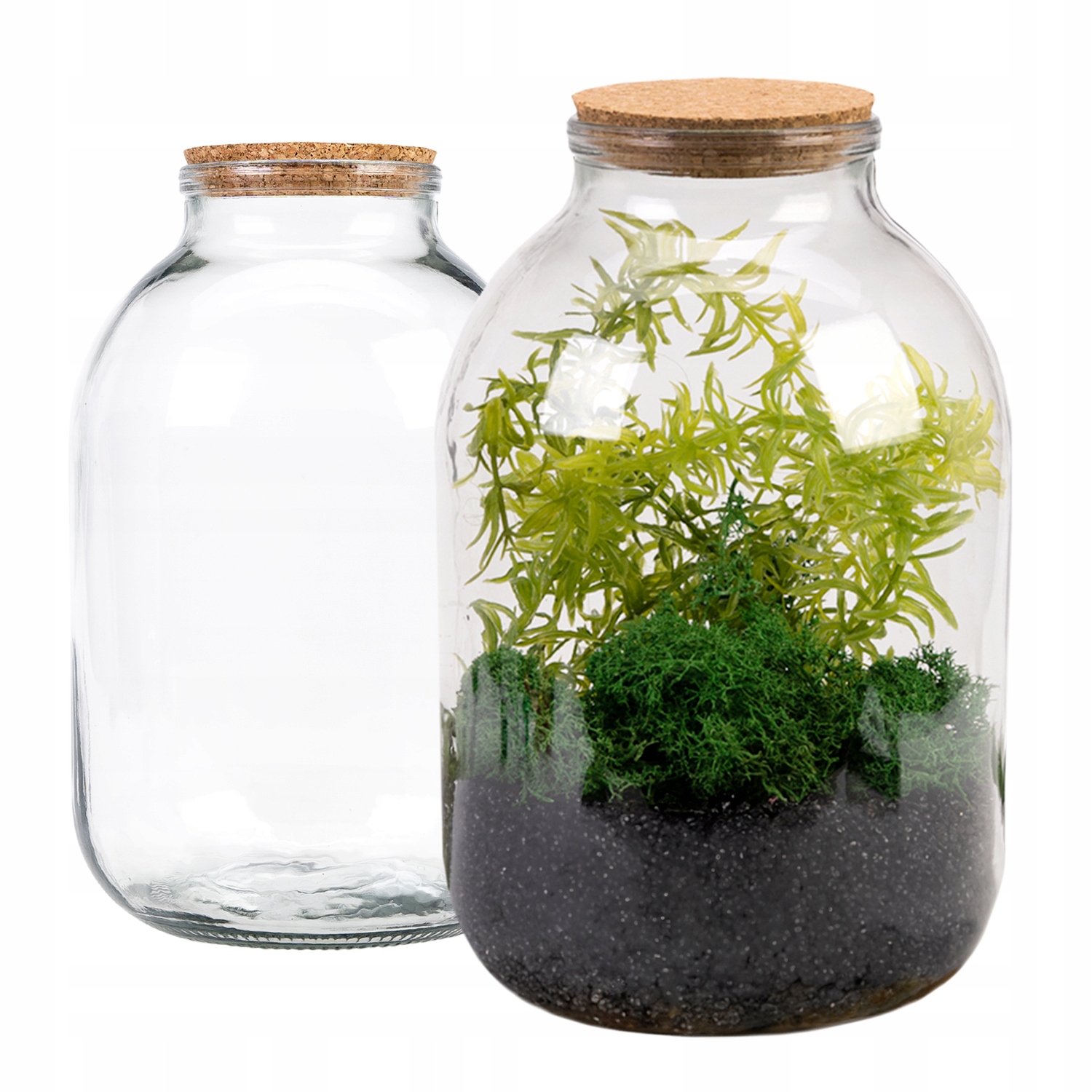 Стеклянная банка с пробкой лес в стеклянной банке 3Л