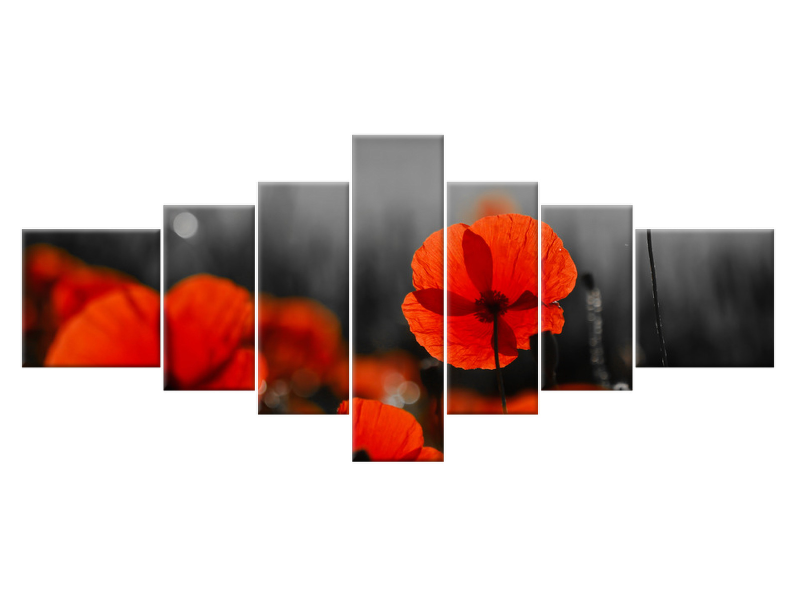 

Obraz 160x70 Pejzaż Siała baba mak Maki Płótno