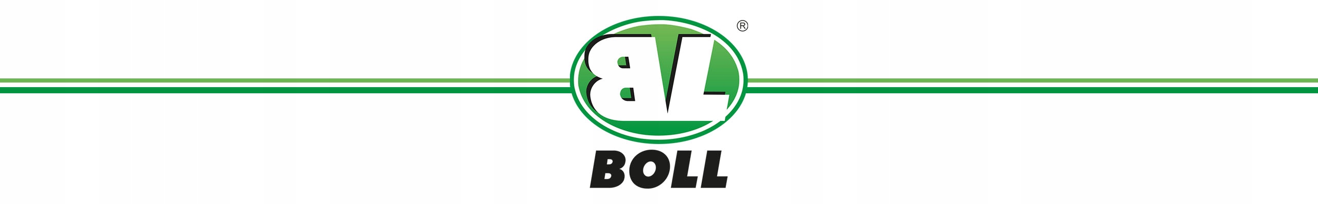 BOLL ZESTAW DO KONSERWACJI PROFILI ZAMKNIETYCH Brand Boll