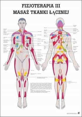 Plakat tablica medyczna anatomiczna Masaż Tkanki Łącznej 70x100cm Pl