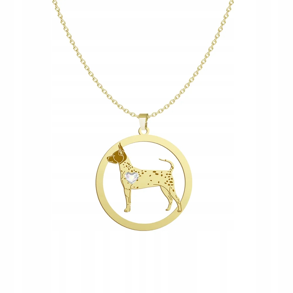 Zlatý náhrdelník s americkým bezchlupovým teriérem 925 Řetízek Gravírování