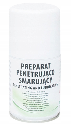 Spray Preparat penetr-smarujący 100ml Ag