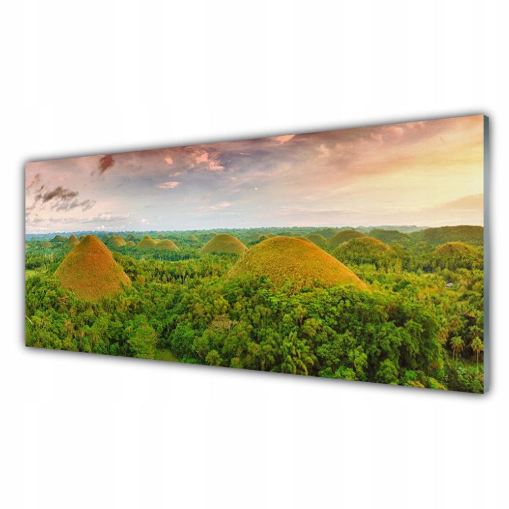

Fotoobraz akryl wiszący 125x50 Las Dżungla Natura