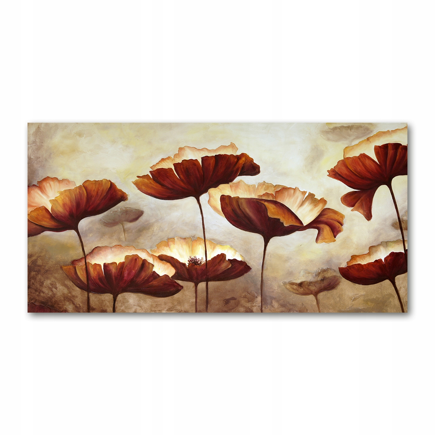 

Foto obraz na ścianę akryl Maki zdjęcie 140x70 cm