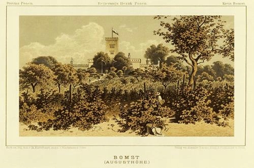 

Babimost pałac Reprodukcja 31624