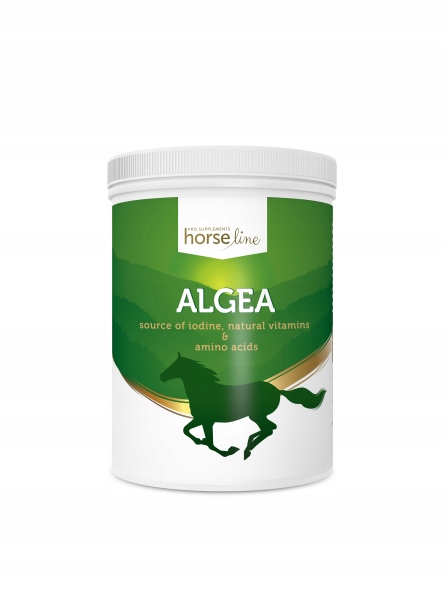 HorseLinePro Algea 1500g Alga Norweska Dla Konia