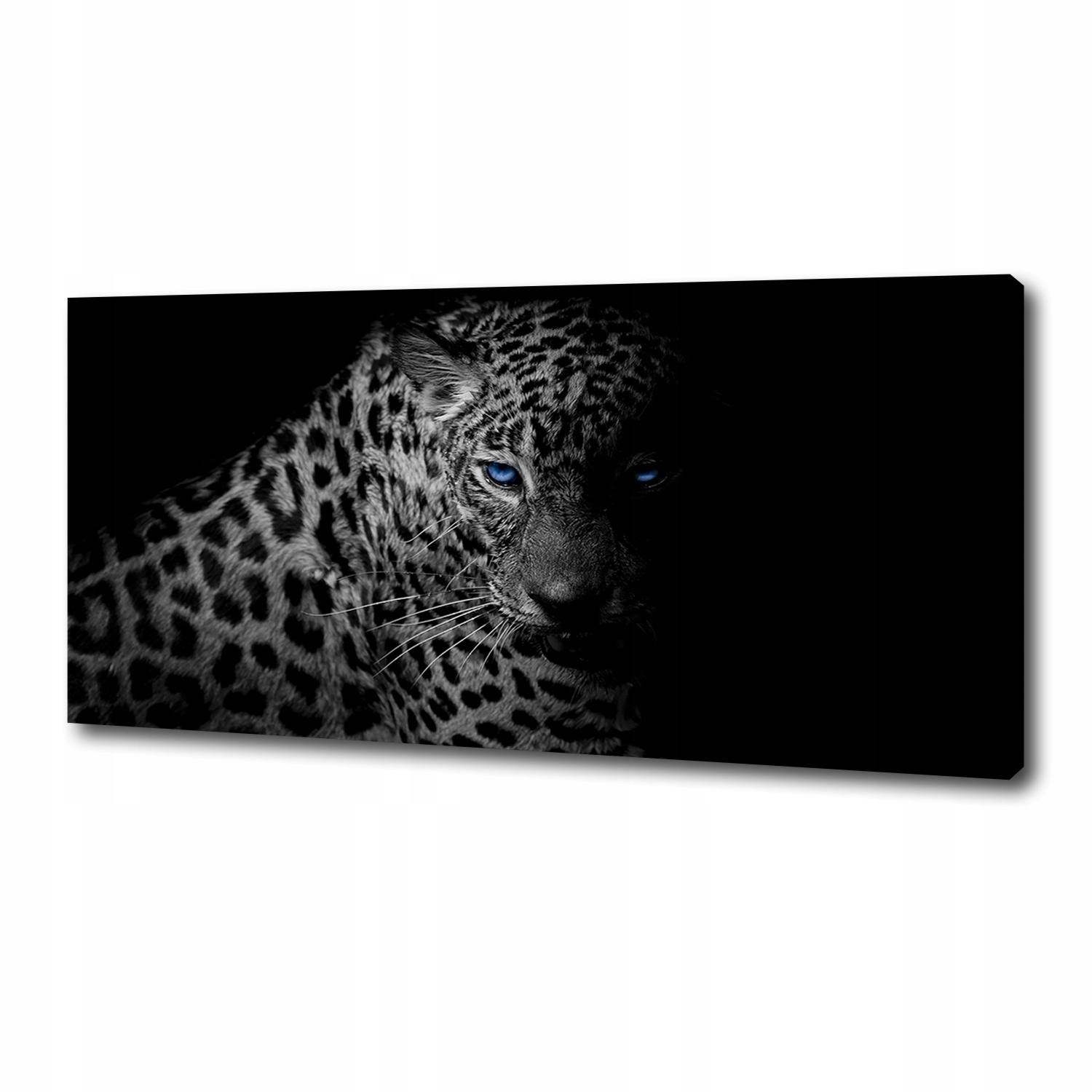 

Foto obraz canvas na ścianę Lampart 125x50 cm
