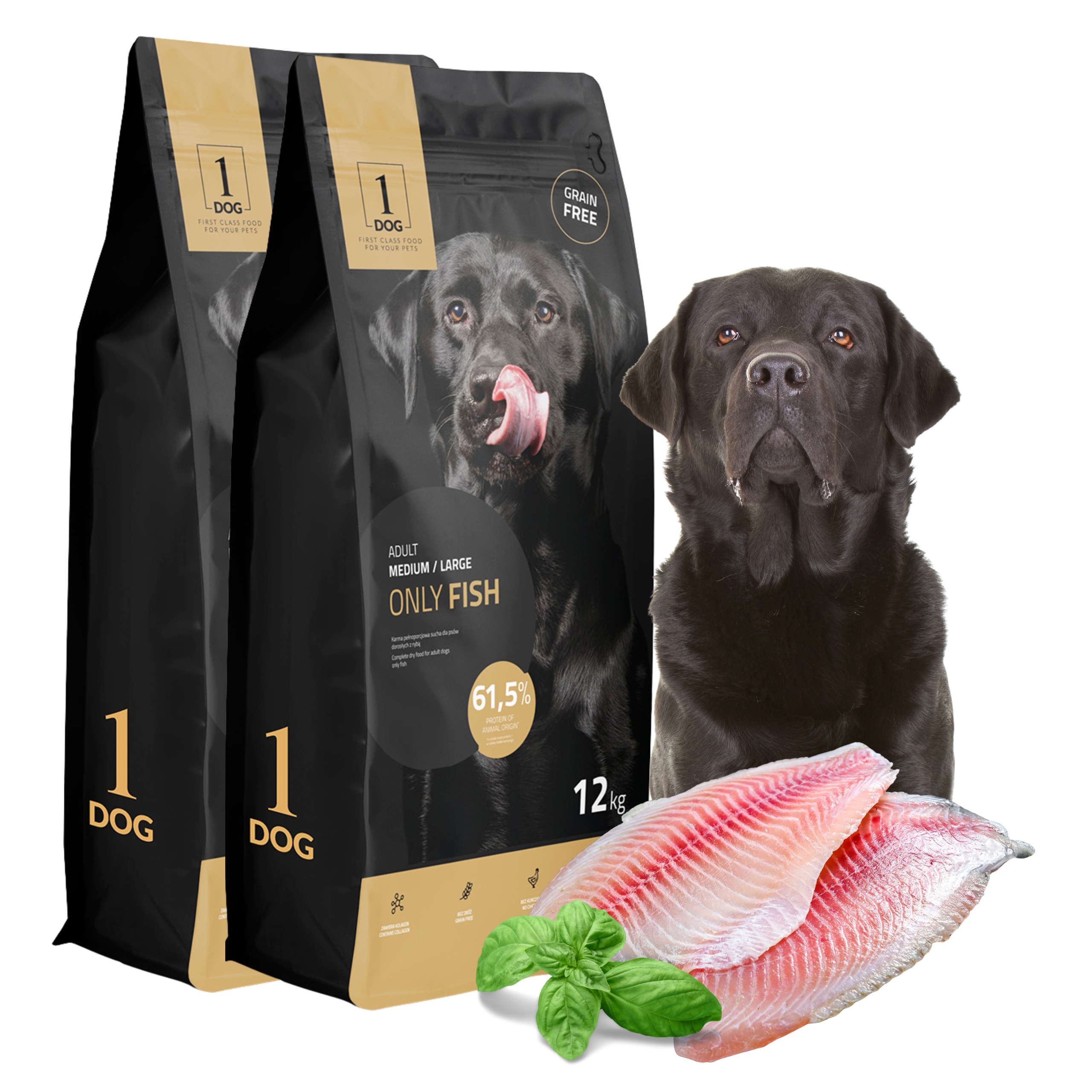 Sucha karma dla psa z rybą dla średnich/dużych ras monobiałkowa 12kg 1DOG