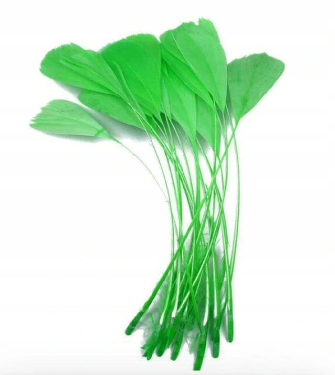 Pióra gęsie trymowane 13-18cm Zielone 10szt