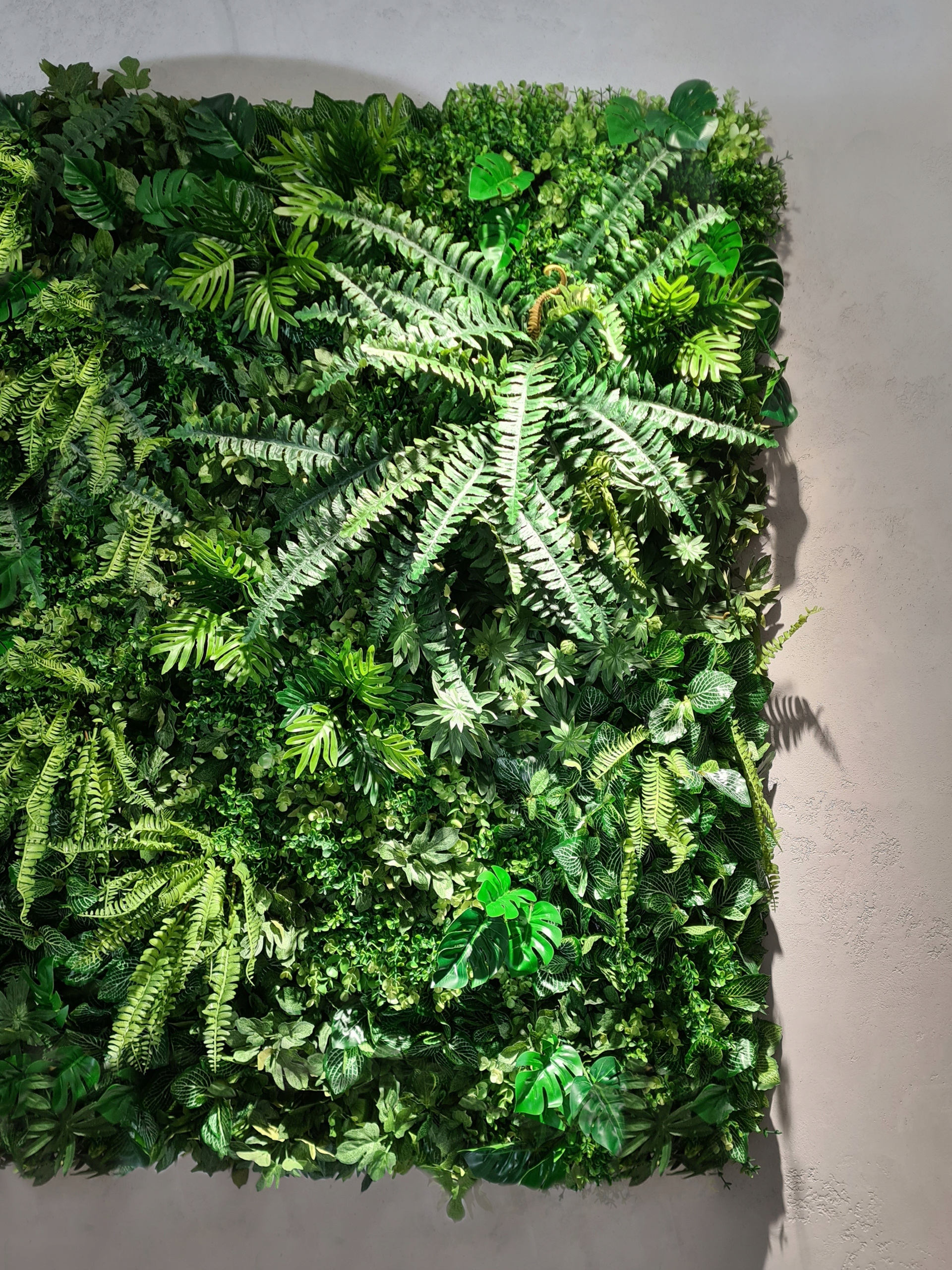 Ogród wertykalny Panel na wymiar LAUREL Producent inna