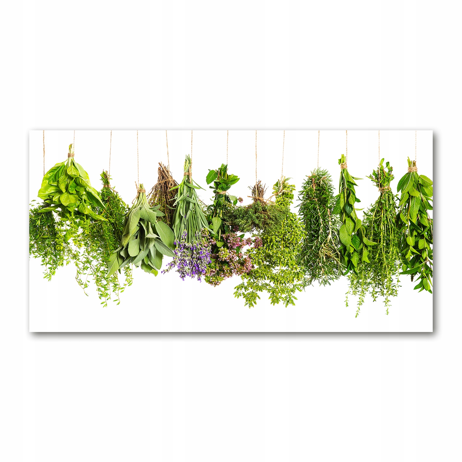 

Foto obraz szkło akryl Zioła na sznurku 120X60 cm