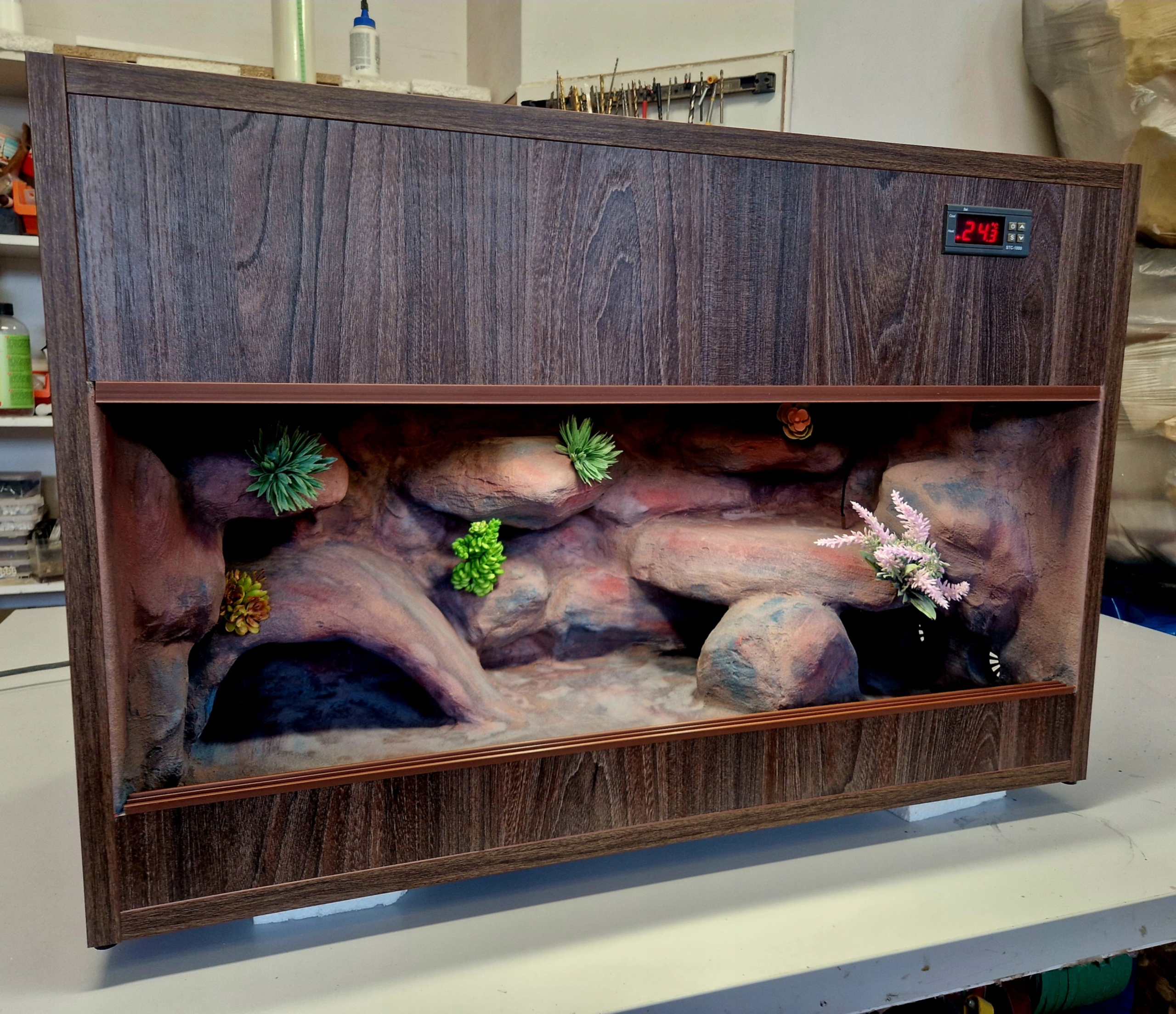 Hotové Terárium 76x40x50 Pro Gekona K Dispozici Ihned Gekon Lamparci