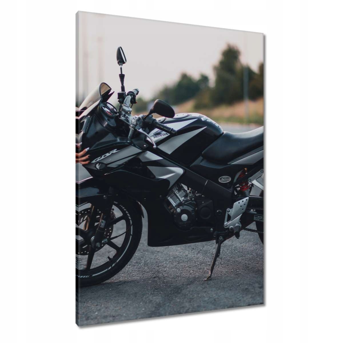 Obrazy 70x100 Miluji ji! Honda Motocykl