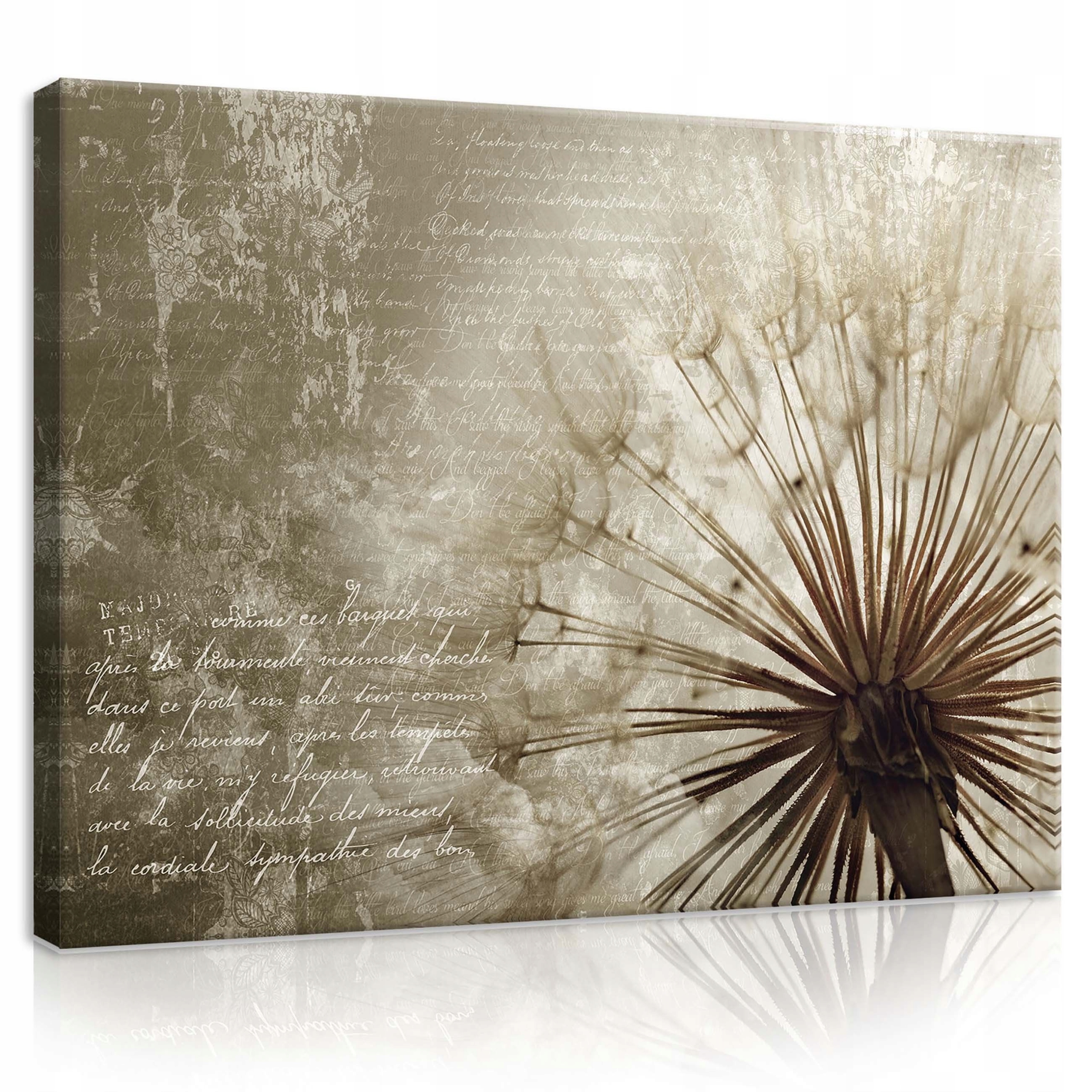 Obraz 80x60 Pampeliška lékařská semena peří lehkost béžová, hnědý vítr