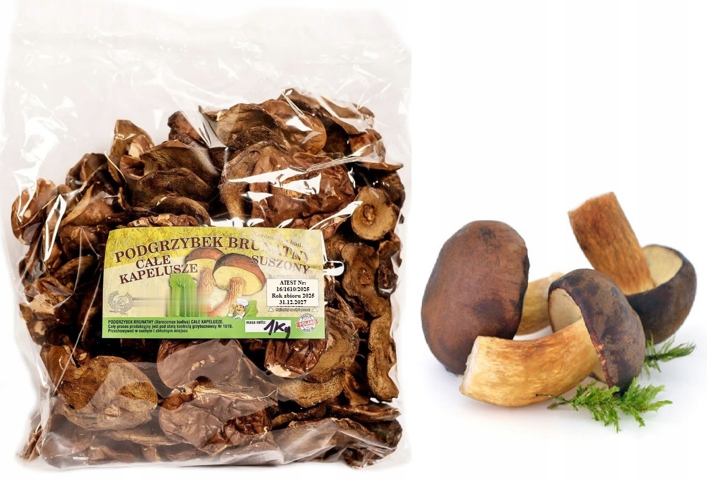 Podhoubek Klobouky 1kg Nová Sbírka 2025 Polský Atest sušené lesní houby