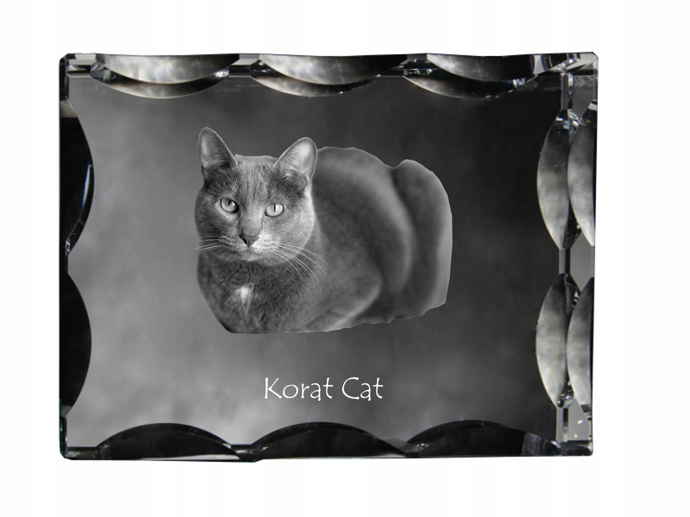 Mačka Korat fotografia v ozdobnom kryštáli, suvenír, dekorácia domu