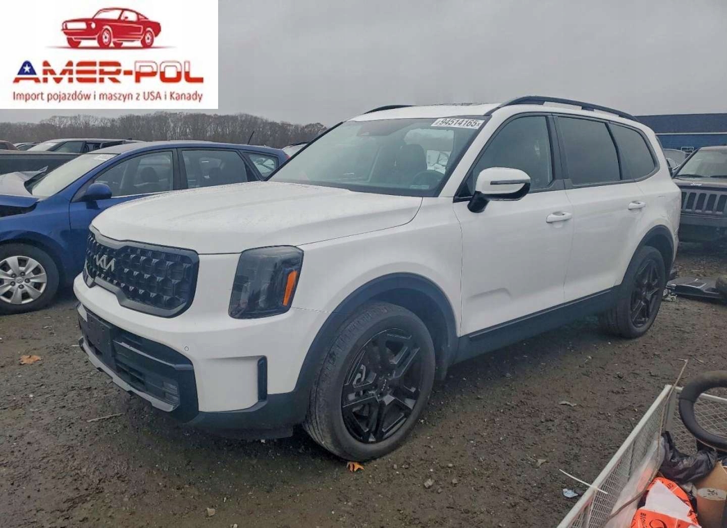 Kia Telluride SX 2024 3.8 Benzyna 291KM