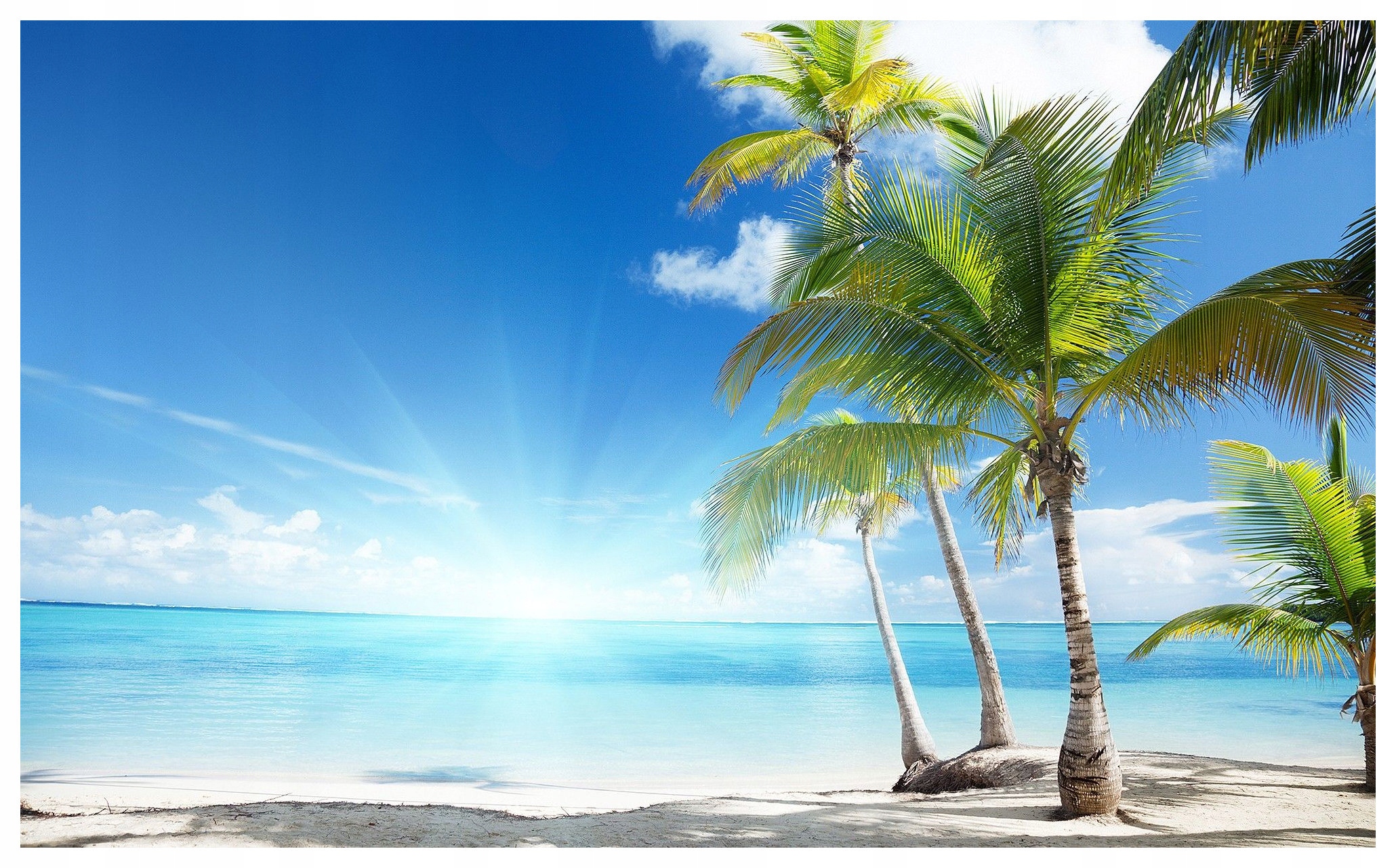 Fototapeta Palmy Pláž Moře Slunce vinylová 416x254 lepidlo