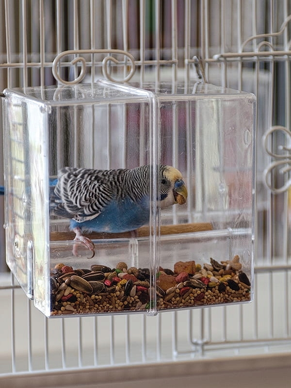 Krmítko je méně nepořádku pro malé a střední papoušky vel M