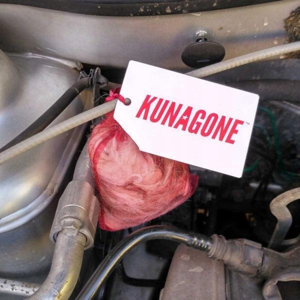 KUNAGONE ODSTRASZACZ KUN ŚRODEK NA KUNY 6szt Zastosowanie przeciwko kunom