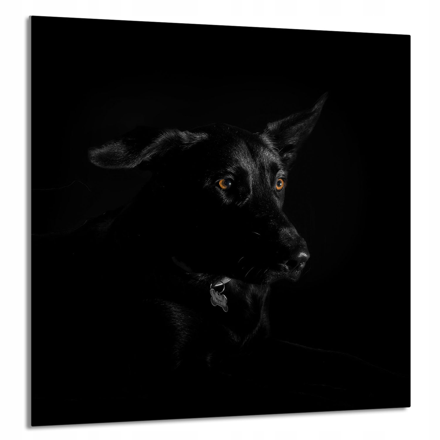 Skleněný Panel Do Kuchyně 60x65 Pes Tvrzené Sklo