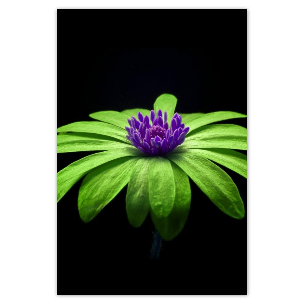 

Plakat 62x93 Limonkowe płatki
