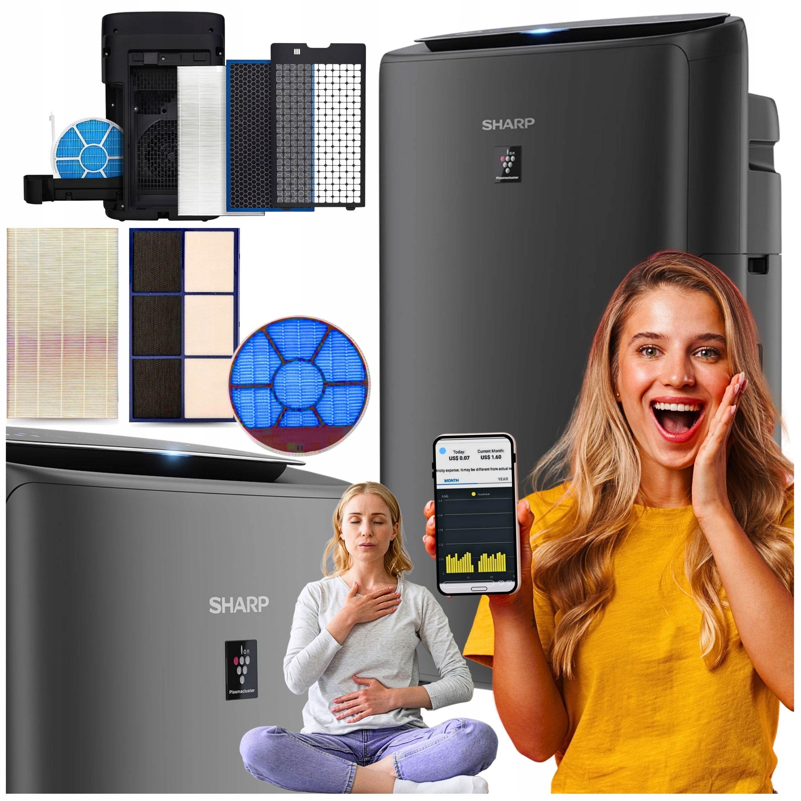 Sharp čistička vzduchu Zvlhčovač Vzduchu Ionizátor UA-KIN52E-H Hepa Aplikace