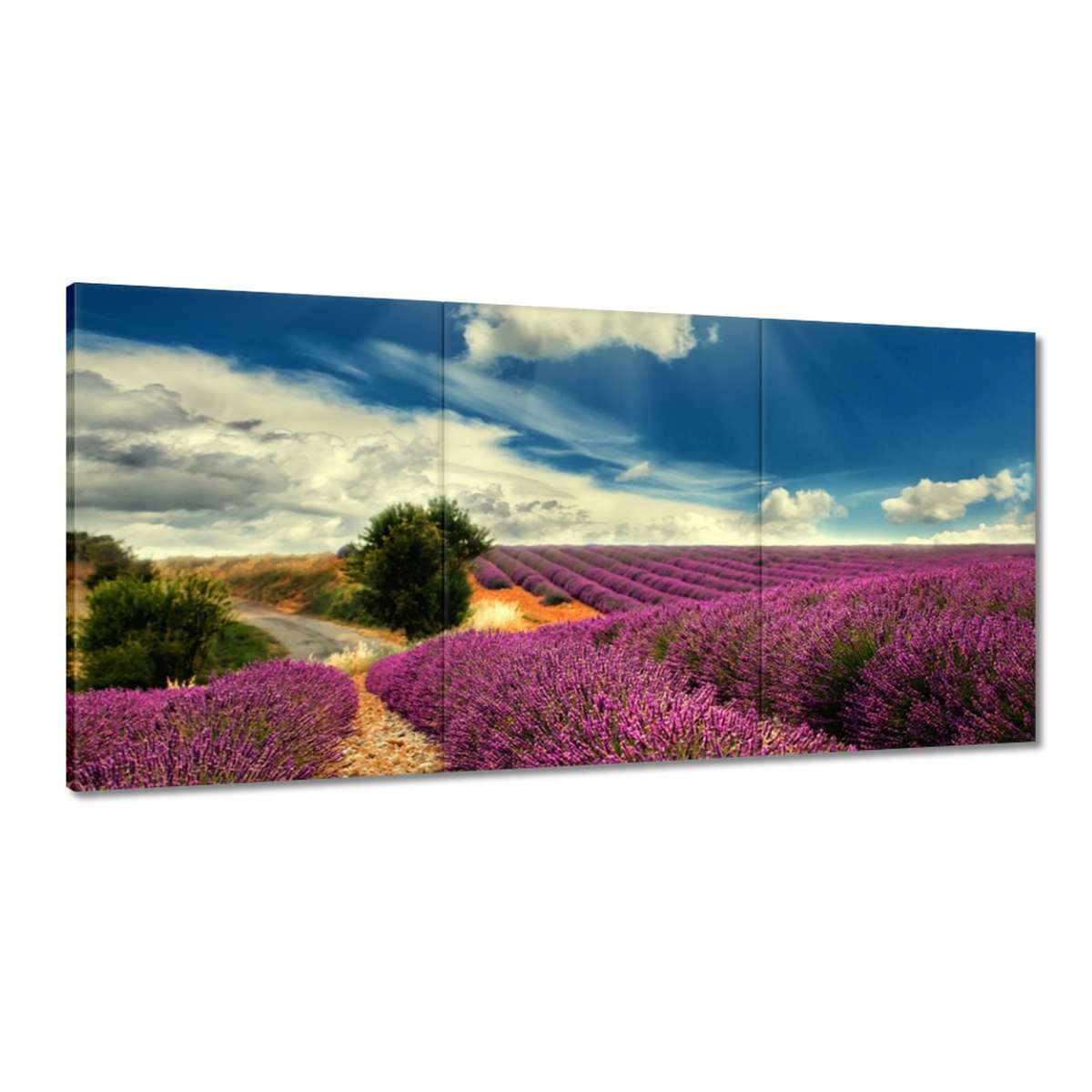 Obrazy 180x90 Levanduľová krajina