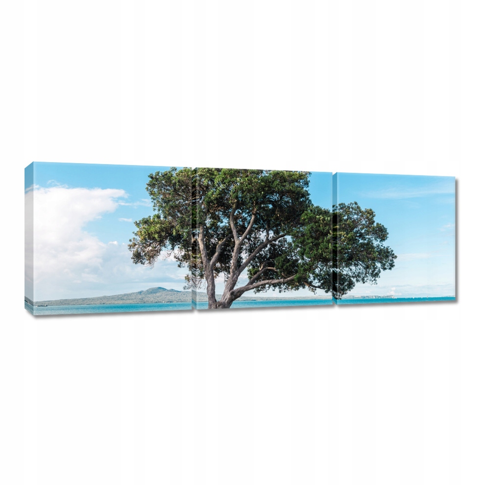 Obraz 150x50 Osamělý strom