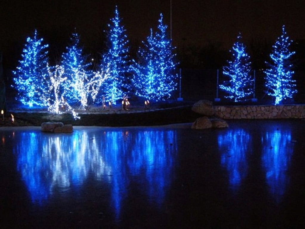 Lampki choinkowe 1000 LED wewnętrzne / zewnętrzne niebieskie Liczba lampek 501 - 1000