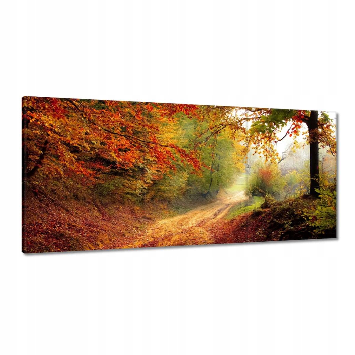 Obrazy 210x100 Cesta v lese jeseň