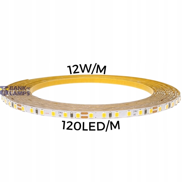 Thorgeon Led páska 24V 12,5W/m 4000K IP20 5m 16018