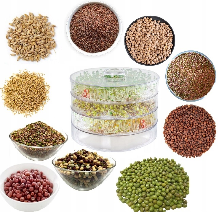 CSÍRÁZTATÓ 3 DB CSÍRÁZTATÓ + 10 db mag - CSÍRÁK