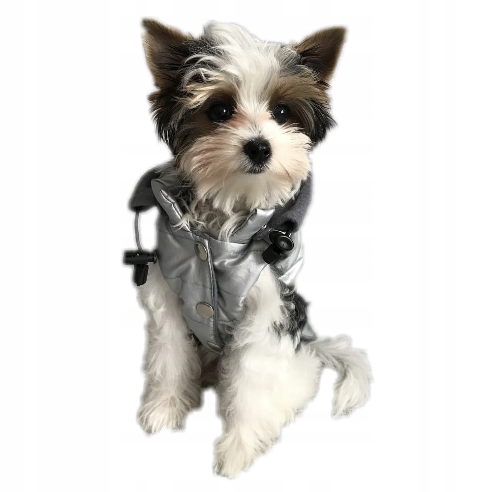 

Ręcznie szyta kurtka sport srebrna XXXXL Shih Tzu