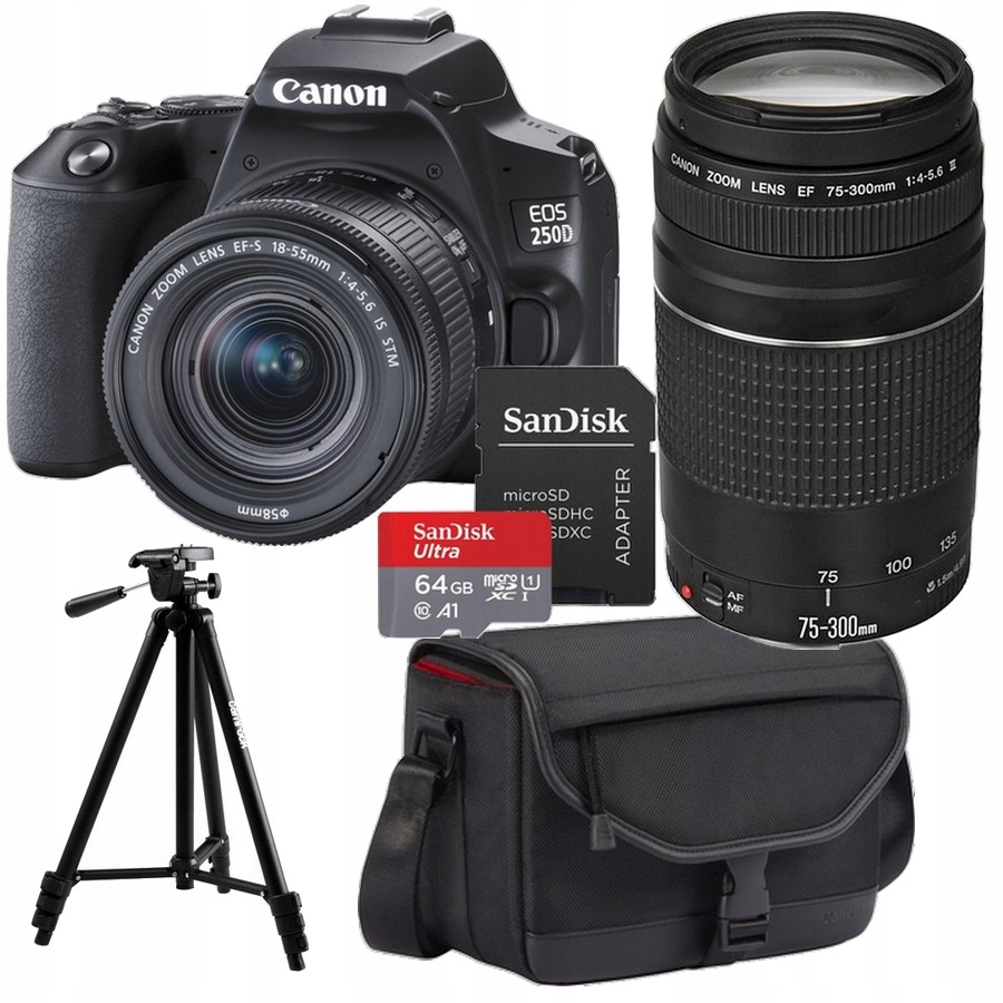 Sada Fotoaparátů Canon Eos 250D 18-55 mm Is Stm +75-300 Příslušenství