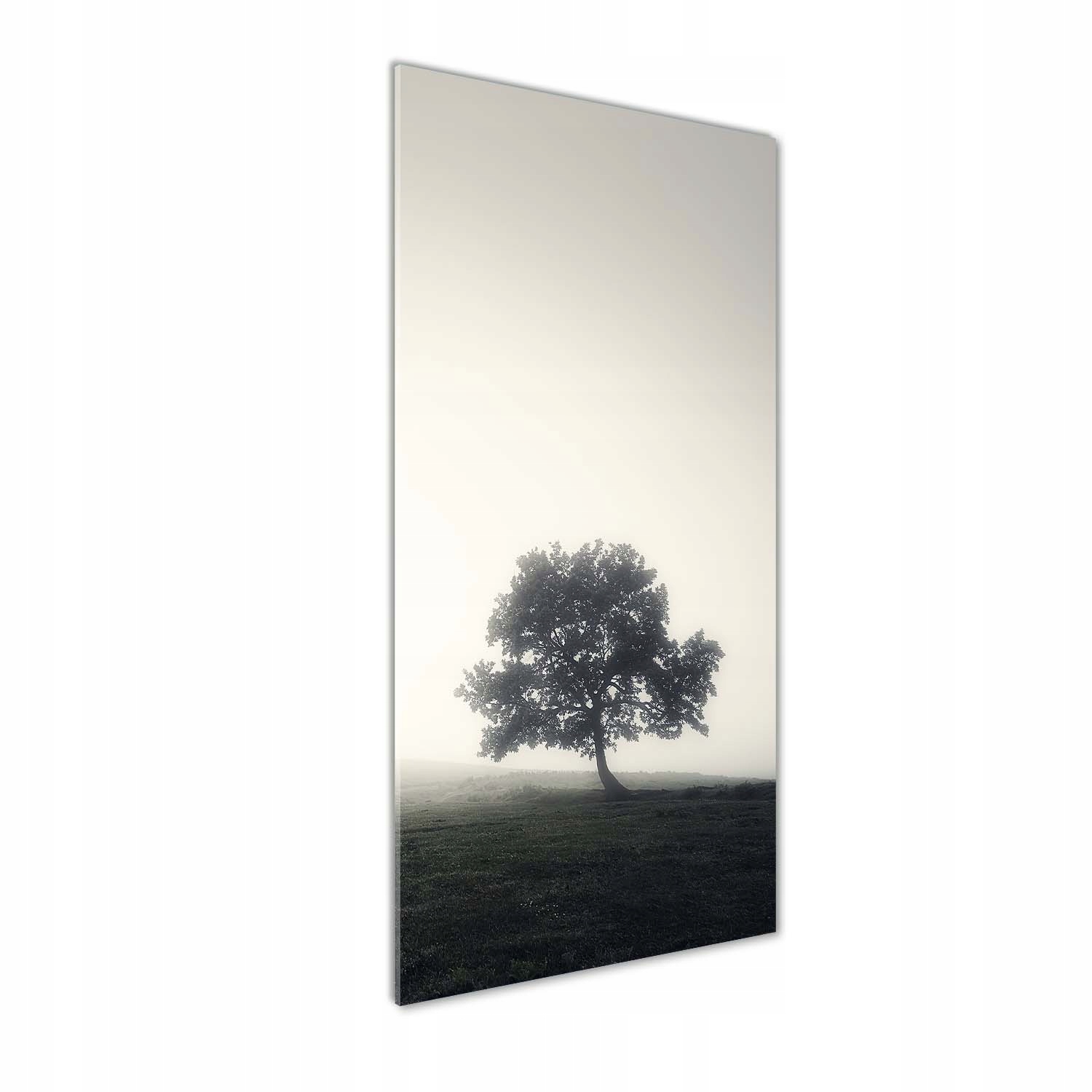 

Foto obraz akryl do salonu Drzewo we mgle 50x125cm