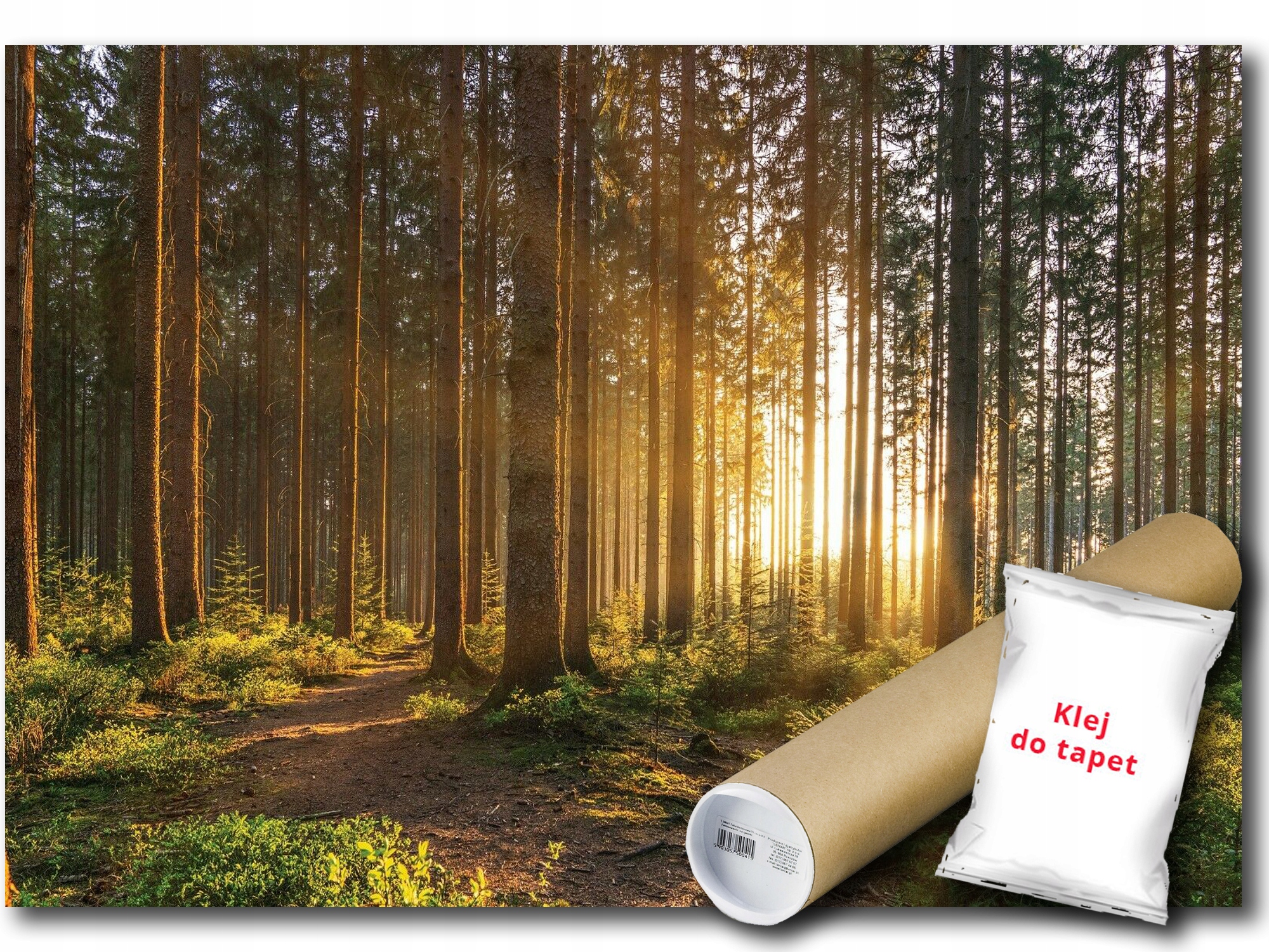 Vinylová Fototapeta Les Stromy Slnko 208x146