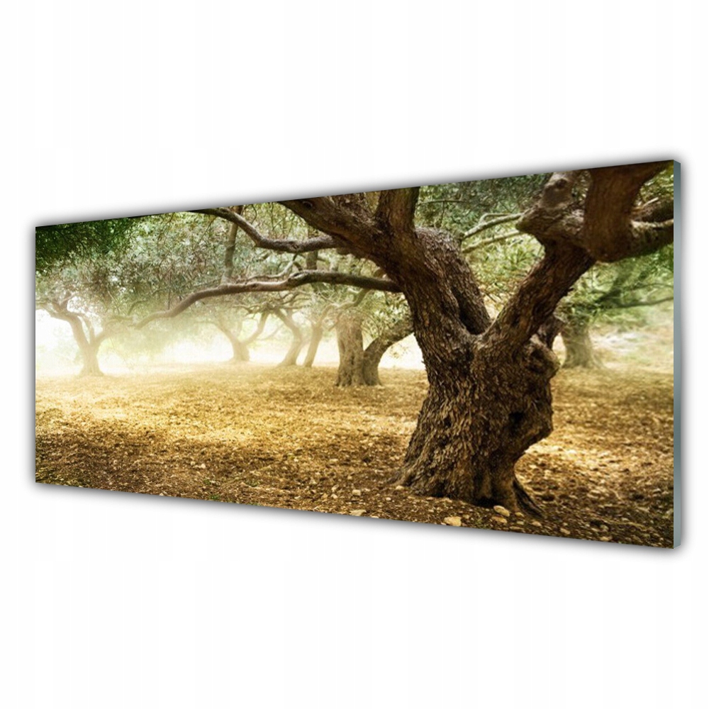 

Obraz z grafiką wiszący 125x50 Drzewo Trawa Natura
