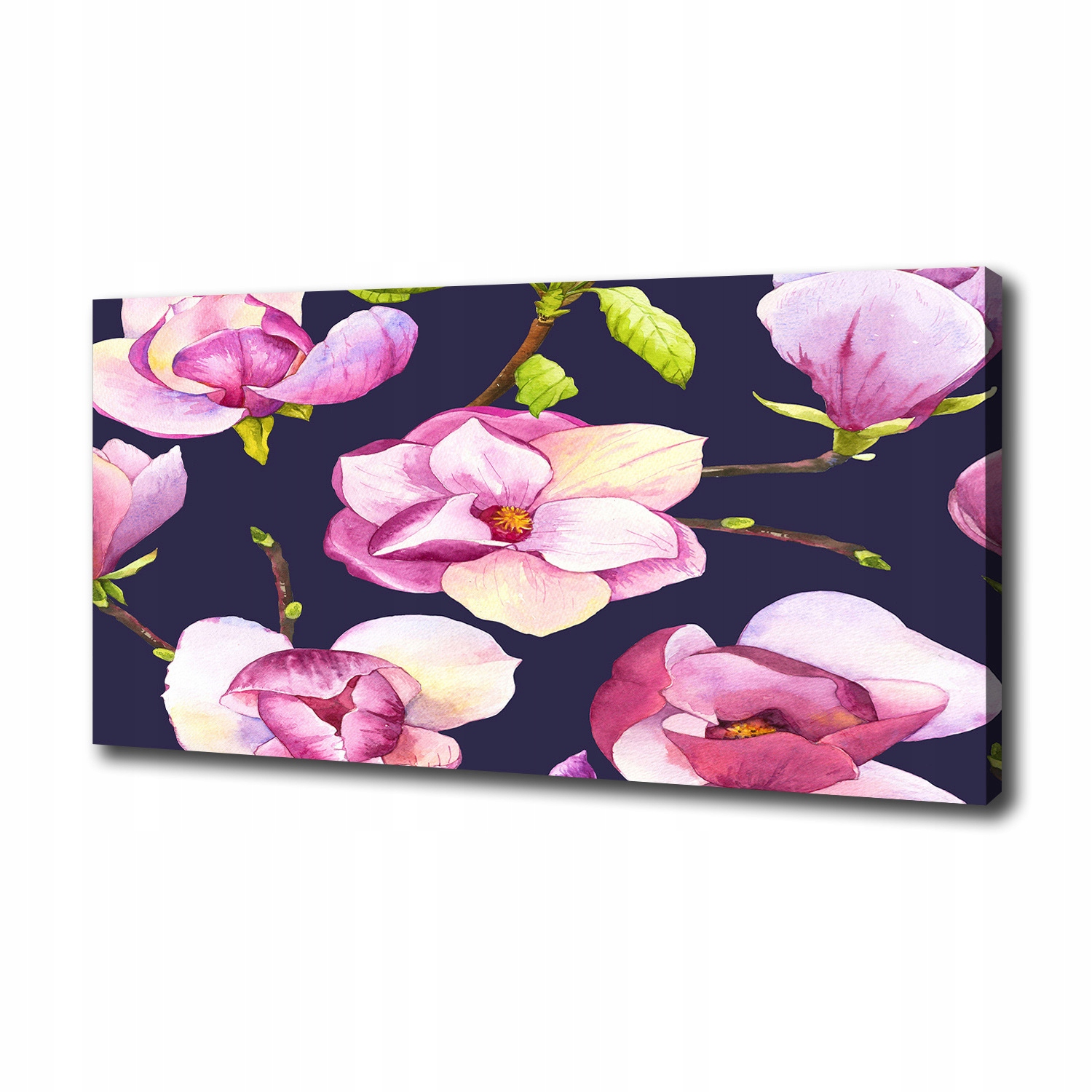 

Foto obraz canvas na ścianę Magnolia 100x50 cm